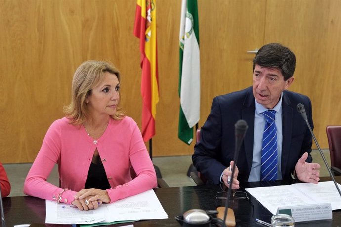 El vicepresidente de la Junta y consejero de Turismo, Regeneración, Justicia y Administración Local, Juan Marín, en rueda de prensa.