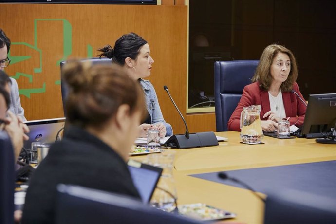 La Fiscal Superior del País Vasco durante su comparecencia en comisión en el Parlamento Vasco