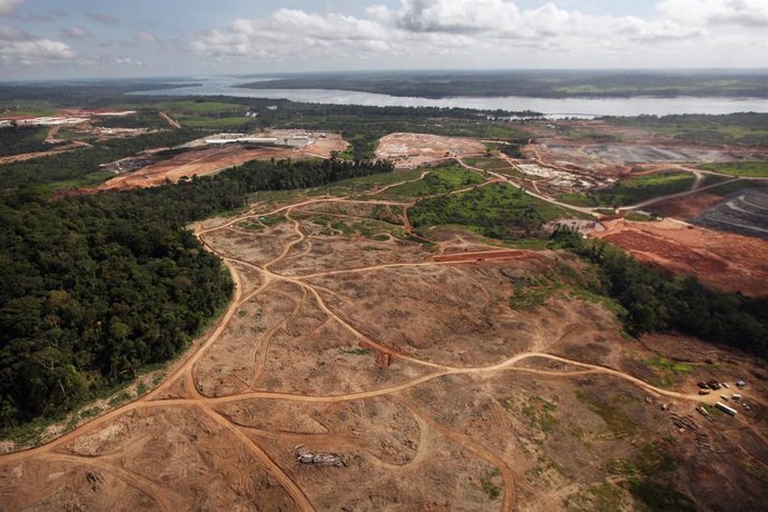 Brasil.- El ritmo de deforestacion de la Amazonía brasileña crece un 30 por cien