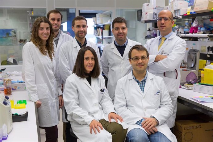 Los investigadores del Cima y la Clínica Universidad de Navarra pertenecientes a la línea de uso deorganoides