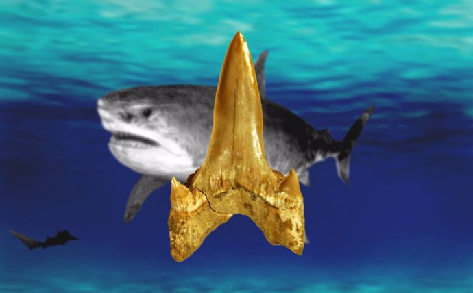 Un tiburón se une a los grandes seres que vivieron con los dinosaurios