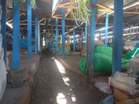 La falta de combustible y alimentos golpea a La Paz ante los bloqueos de partidarios de Morales