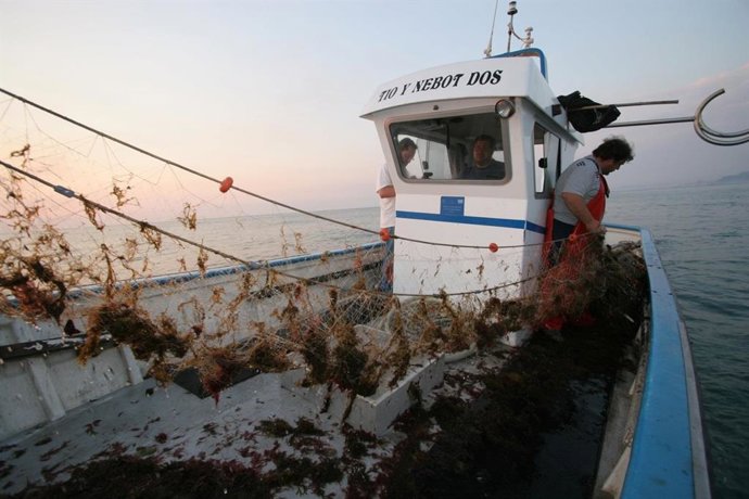 El sector pesquero, a favor de medidas de gestión para el patudo y el marrajo dientuso