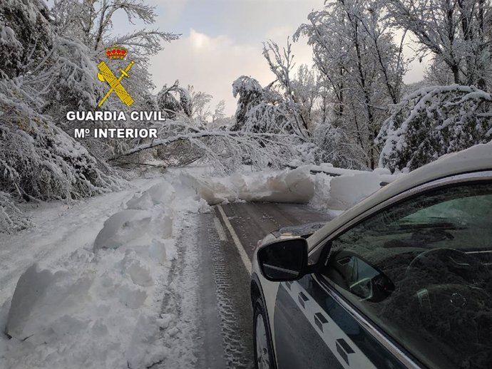 Auxilio de la Guardia Civil en una vía cerrada por la caída de un árbol en la provincia de León.