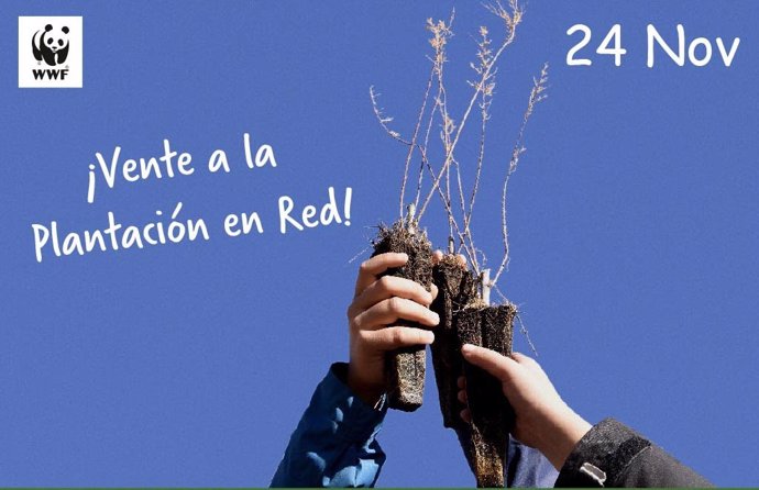 Campaña de Plantación en Red de WWF, que el próximo domingo, 23 de noviembre, se celebrará en 11 puntos de toda España. La ONG invita a los ciudadanos a sumarse voluntariamente.