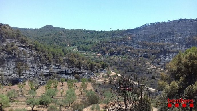 Zonas de vegetación quemadas por el fuego en La Ribera d'Ebre (Tarragona) (ARCHIVO).