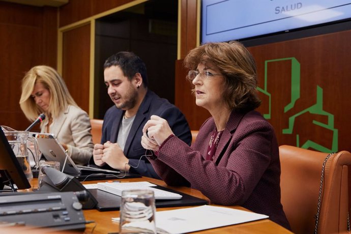 La consejera de Salud, Nekane Murga, en comisión de salud del parlamento vasco