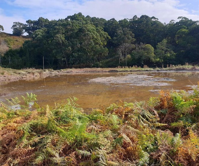 Charca de Zeluán en Gozón.