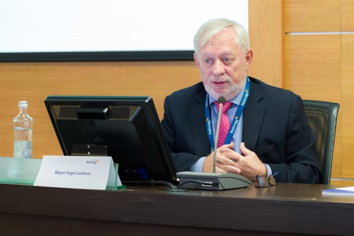 El economista y experto Miguel Ángel Lasheras en un acto de la Fundación Naturgy