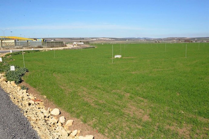 Zona Puerto Seco de Antequera