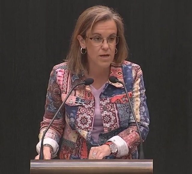 La portavoz del PSOE en el Ayuntamiento de Madrid, Purificación Causapié, interviene en el Pleno de Cibeles.