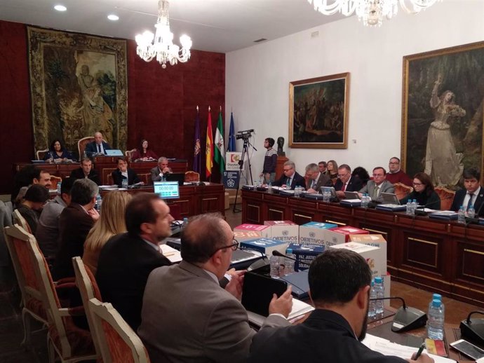 Un instante del Pleno de la Diputación de Córdoba celebrado este miércoles.