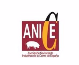 Logotipo de Anice