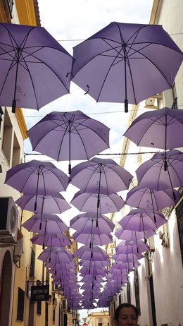 Calle Plaza con los paraguas morados contra la vciolencia machista