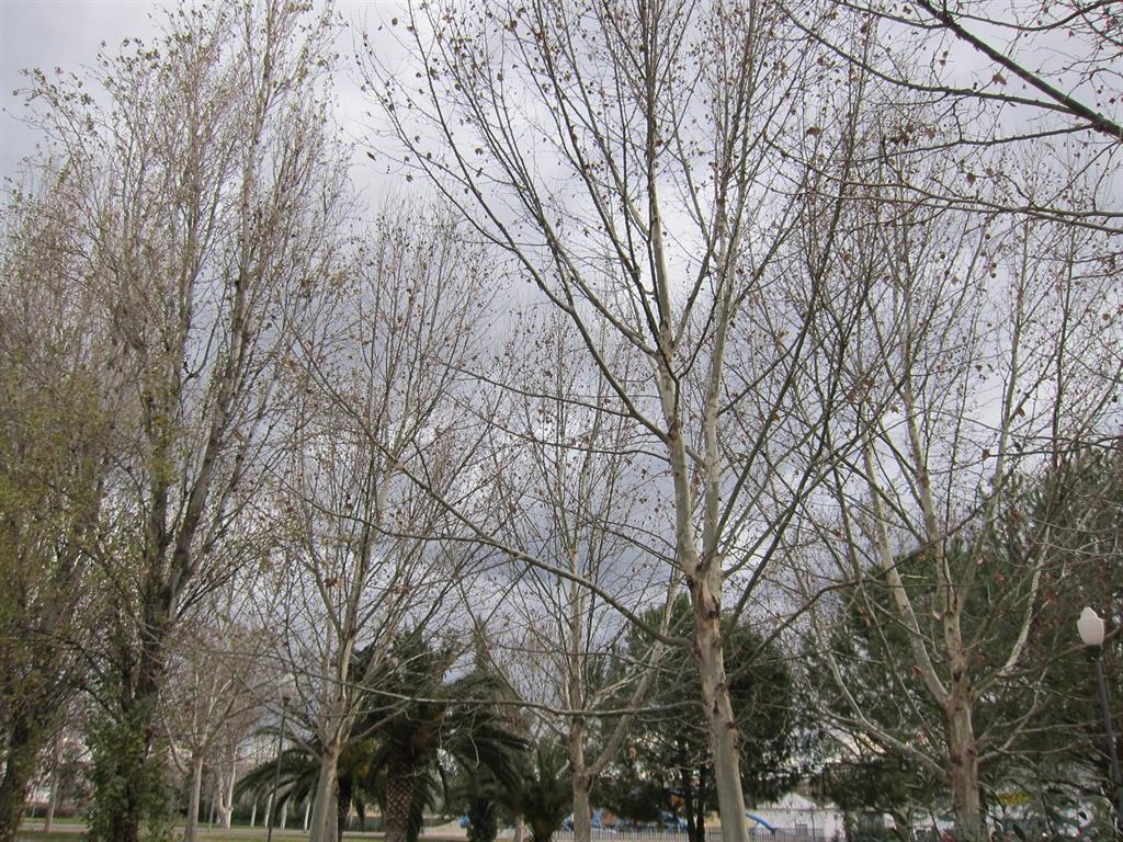 fotonoticia 20191121053201 1024