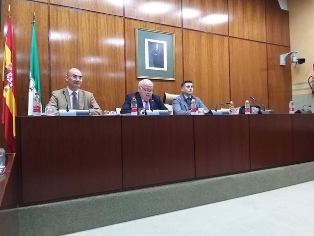 Aguirre en la Comisión de Salud en el Parlemento
