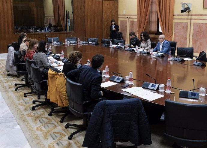 Vista de la comisión de Igualdad, Políticas Sociales y Conciliación en el Parlamento andaluz, con la comparecencia de la consejera, Rocío Ruiz.