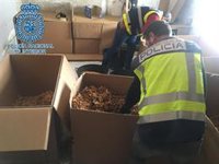 La Policía desmantela una fábrica clandestina de tabaco en Córdoba con 1.300 kilos de picadura para distribuir en España