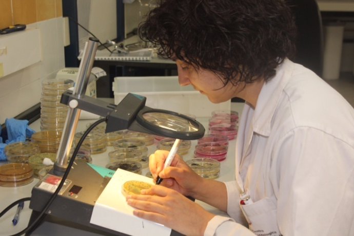 Técnico del laboratorio del centro Conium analiza muestras de los alimentos saciantes para combatir la obesidad