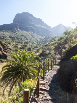 Barranco de Masca