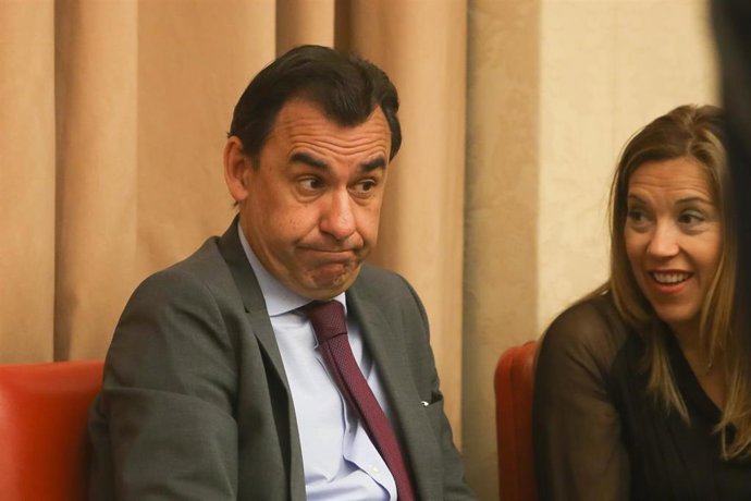 Fernando Martínez-Maillo, senador por Zamora. 