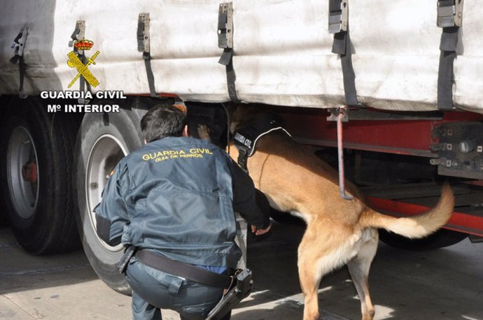 La Guardia Civil revisa con ayuda de un perro un camión en el Puerto de Almería