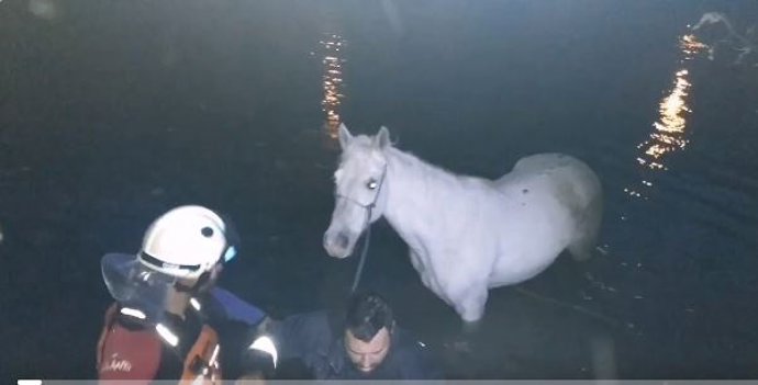 Momento en que los bomberos rescatan a la yegua del río Cadagua, en Güeñes (Bizkaia).