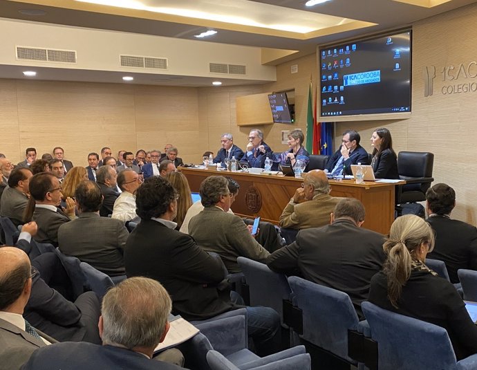 Celebración del pleno del Consejo General de la Abogacía Española.