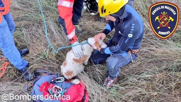 El Grupo de Rescate de Montaña de Inca de los Bombers de Mallorca ha rescatado al perro que había quedado atrapado en el vehículo accidentado