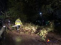 Más de 20 incidencias por el temporal de viento en el Campo de Gibraltar