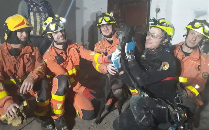 Rescate de un perro en Quart de Poblet