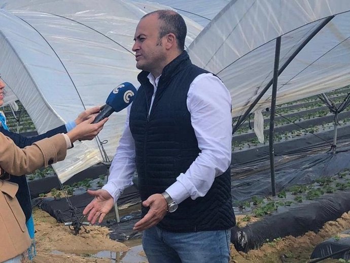 Huelva.-Díaz (Cs) destaca los 45 millones de ayudas para empresas agrarias de nu