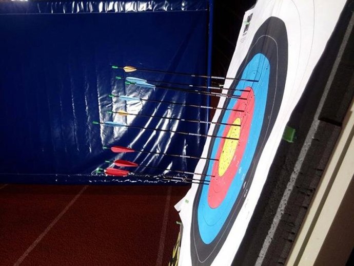 Impactos de flechas con diferentes plumas