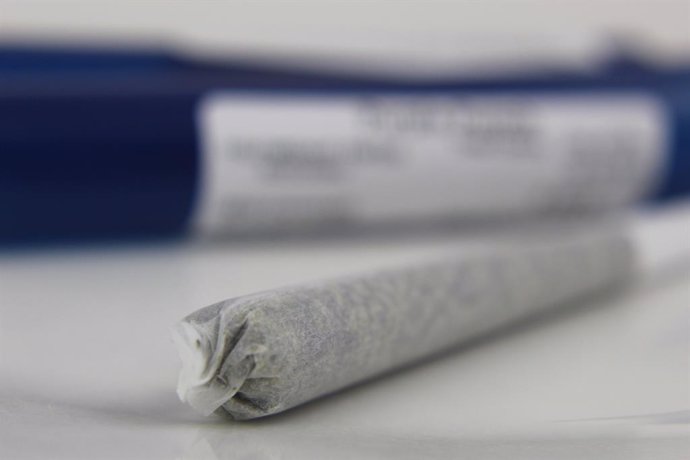 Un estudio desmonta la evidencia de que el cannabis ayude a los pacientes a deja