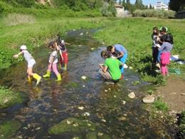 Projecte educatiu ambiental a Catalunya