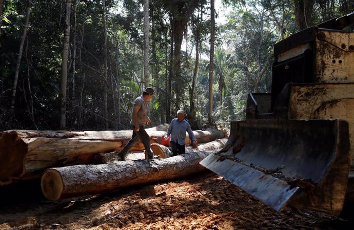 Amnistía Internacional denuncia la deforestación y quema intencionada de las reservas naturales del Amazonas para convertirse de manera ilegal en nuevos pastos para el ganado.