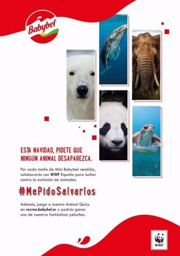 COMUNICADO: Babybel y WWF España se unen en Navidad para luchar contra la extinc