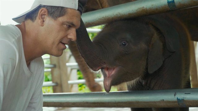 Frank Cuesta junto a una cría de elefante en 'Wild Frank por dentro'