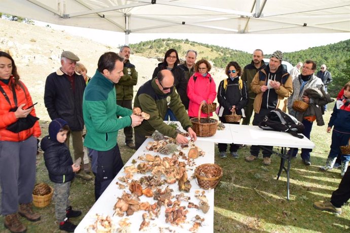 Granada.- Éxito de participación en la jornada micológica organizada en el Parqu