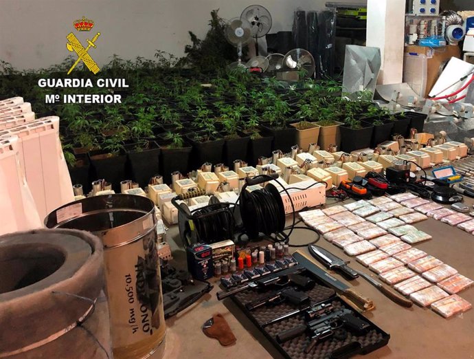 Plantas de marihuana, dinero y  material incautado a los detenidos en León por cultivar 2.250 plantas de marihuana.