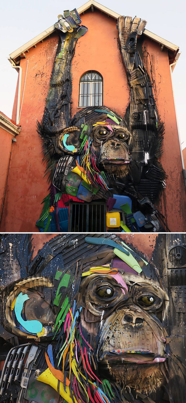 bordalo 7