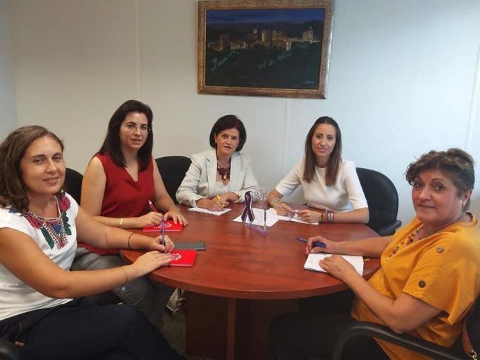 Reunión entre Amfar y la diputada provincial de Iguadad, Carmen Belén López