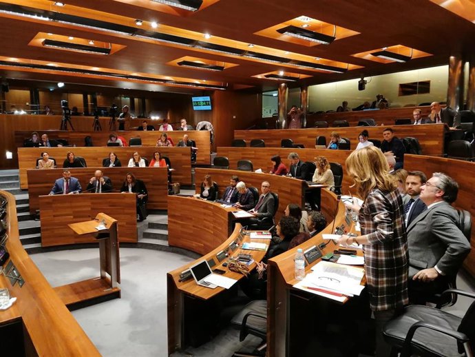 La portavoz del PP, Teresa Mallada, pregunta al presidente del Principado, Adrián Barbón, en la Junta General.