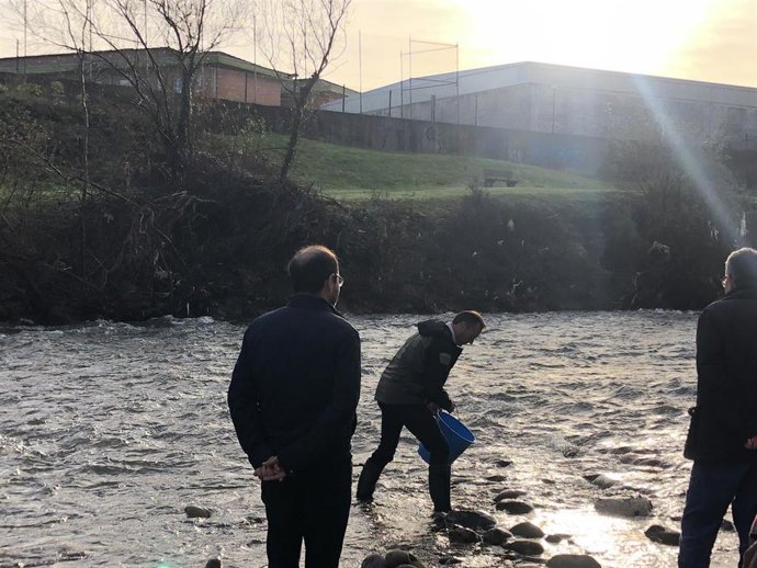 Suelta de salmones en el río Besaya
