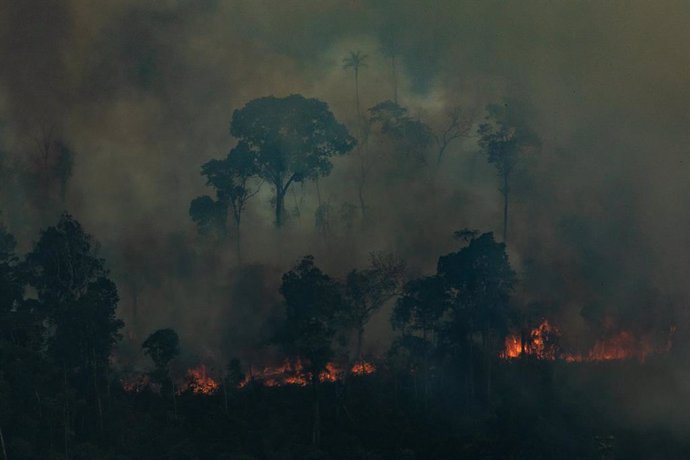 Incendios en la Amazonas de Brasil, cerca de Caneiras do Jamari en Rondonia (imagen de archivo)