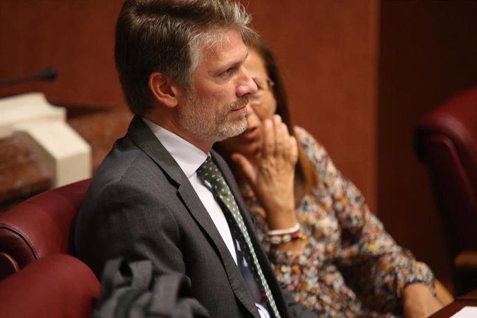 El diputado del PP, Víctor Martínez-Carrasco