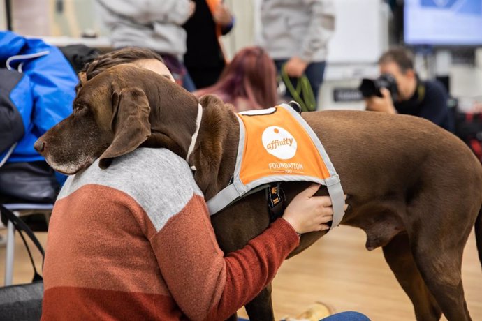 Uno de los perros participantes en la terapia de 'Compludog', junto a una alumna.