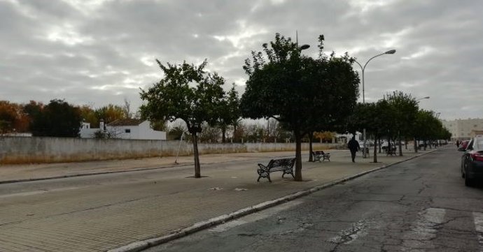 Avenida La Zarcilla en La Palma del Condado (Huelva).