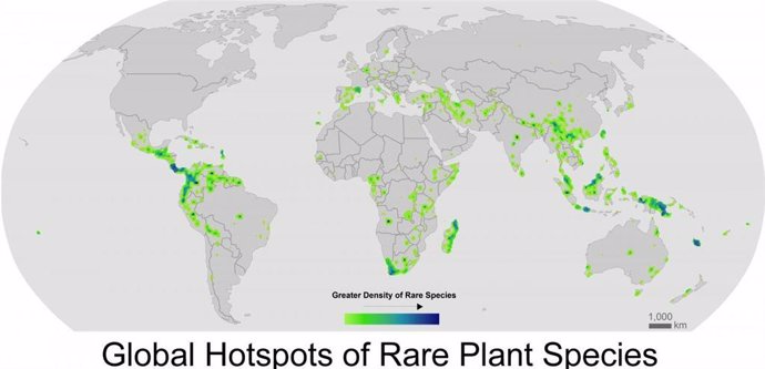 Cuatro de cada 10 especies de plantas, vulnerables al cambio climático