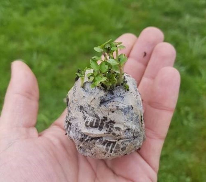 Juvenalia  acogerá actividades solidarias por los niños de residencias